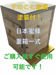 板厚３３mm 日本蜜蜂 巣箱 重箱 待ち箱 ニホンミツバチ