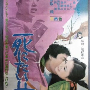 ★若松孝二「死にたい女」映画ポスター 香取環 1971年 六邦映画 三島由紀夫の画像1