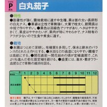 ◆セール◆【５粒】白丸茄子　耐暑性抜群！　アクの少ない品質極上の白丸ナス♪　送料73円〜_画像2