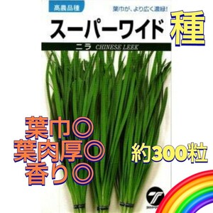 【約300粒】(約1.38g) ニラ『スーパーワイド』周年栽培◎　肉厚の柔らかなニラです♪　計量約1.38gでお送りします♪　送料73円〜