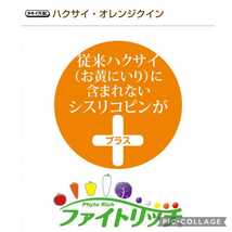 【30粒】中がオレンジのハクサイ『オレンジクイン』シスリコピン豊富♪　生食OK　育てやすいペレット種子　ファイトリッチ　送料73円〜　_画像2