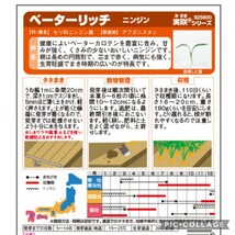 蒔きやすいペレット種子【70粒】にんじん『べーターリッチ(R)』サラダ・ジュース・煮物にと万能♪　周年栽培可能な中生品種　送料73円〜_画像2