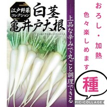 おすすめは『おろし』と『炒めもの』