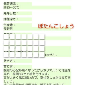 【４粒】ぼたんこしょう 長野県北信地方の伝統野菜！ 辛味少なめ 送料73円〜の画像4