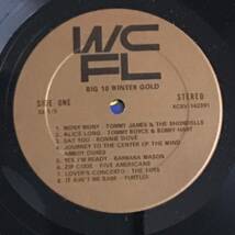 US盤 LP シュリンク/ Big 10 Winter Gold /VA_画像4