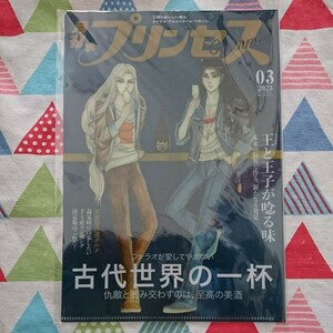 ★希少!!細川智栄子『王家の紋章クリアファイル』メンフィス＆イズミル＊月刊プリンセス付録★