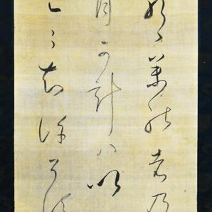 【模写】 吉川惟足「書」絹本 合箱 江戸前期 神道家 吉川神道の創始者 幕布神道方 山崎闇斎の師 人が書いたもの B2787の画像3