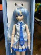 ドルフィードリーム VOLKS 雪ミク Reboot　HATSUNE MIKU DD　SNOW MIKU_画像4