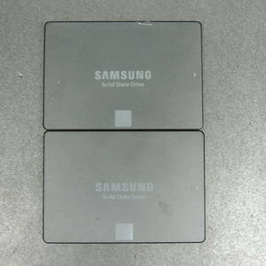 【2台まとめ売り/検品済み】SAMSUNG SSD 750 EVO 250GB MZ7TY250/MZ7TY250HFHP (使用時間：306h・3672h) 管理:k-79