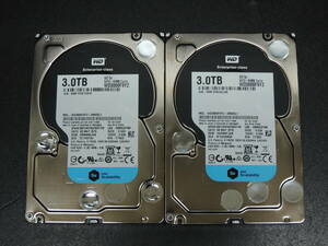 【2台まとめ売り/検品済み】WD 3TB HDD WD3000F9YZ 【使用時間1750h・1750h】 管理:イ-11