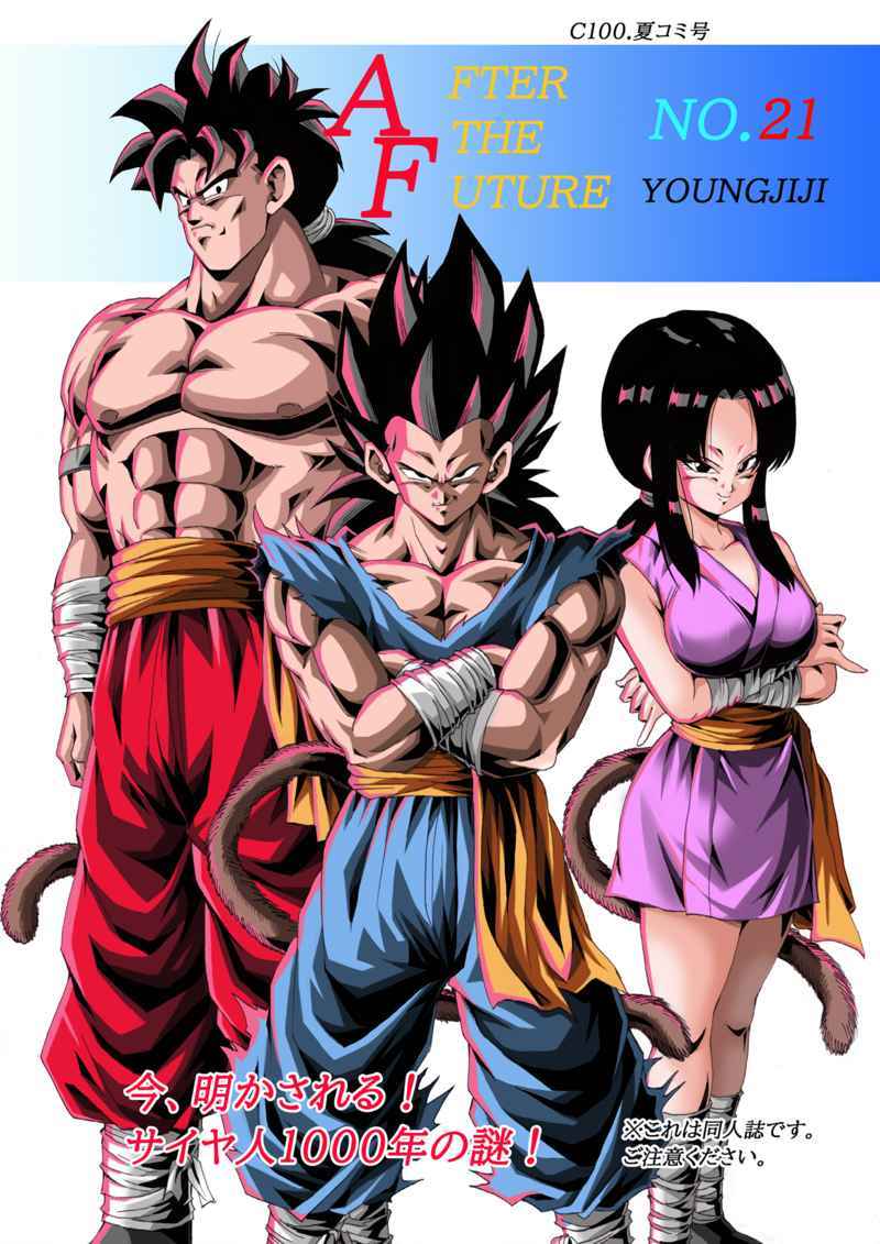 ドラゴンボール　同人誌 mvb.com.co