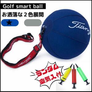ゴルフ 練習器具 キャンディボール スイング練習　グレー ボール スイング