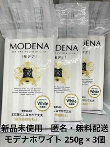 【新品未使用】パジコ モデナ ホワイト 最高級樹脂粘土 250g ×3個