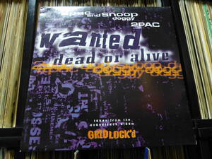 2pac snoop doggy/wanted dead ortofon alive