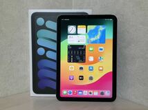 iPad mini 第6世代 64GB Wi-Fi＋Cellularモデル スペースグレイ_画像3