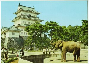 神奈川 小田原 小田原城に象がいた ウメ子 小田原動物園 カラー