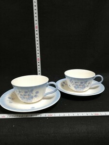 CS3251.【未使用】アンティーク Noritake ノリタケ クラフトーン　VINE YARD カップ ソーサー 花柄 コーヒーカップ 洋食器 2客/60