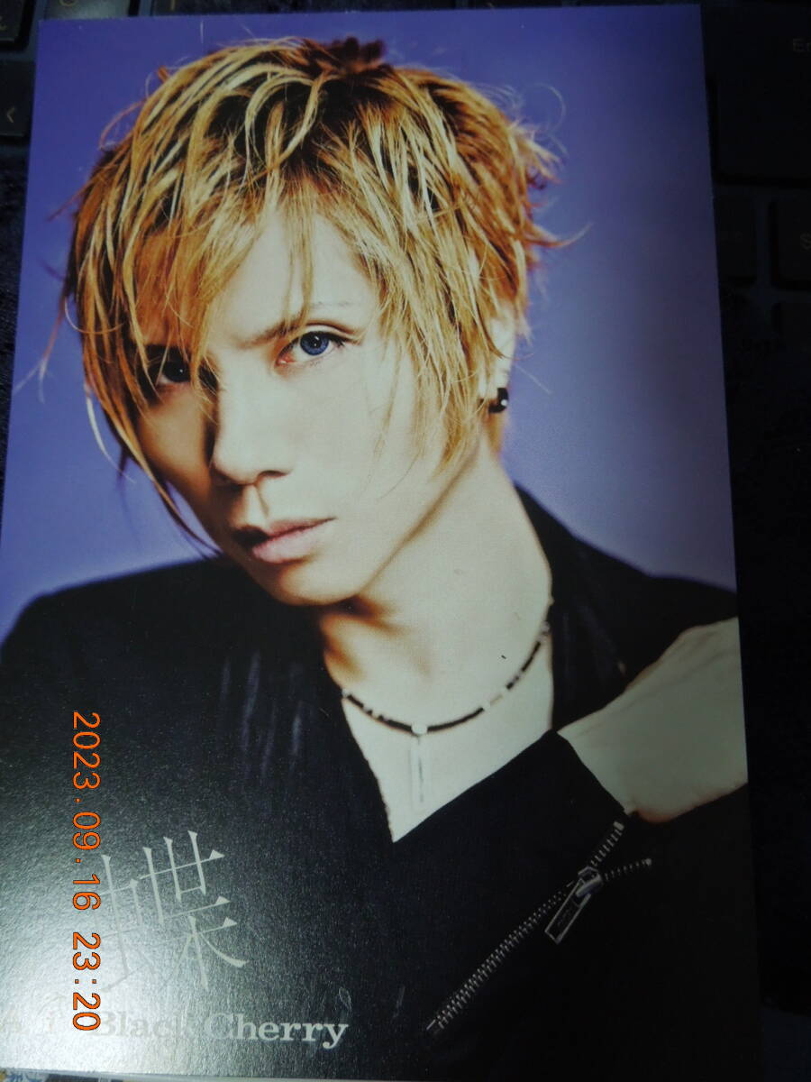 2025年最新】Yahoo!オークション -acidblackcherry カードの中古 2025年最新】Yahoo!オークション -acidblackcherry カードの中古