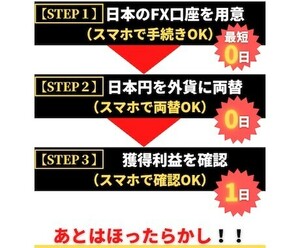 ほったらかしでOKなFX投資法教えます 兼業トレーダーヒロ_