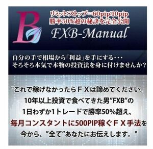 FXB-Manual 2014（PDF72p/動画46/特典付き）+ FXB-Manual 熱血編（前編・後編動画/Q&A動画）フルセット