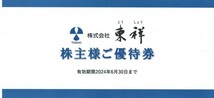 即決！東祥　株主優待券　 ホリデイスポーツ １回無料利用券　１枚/２枚/３枚/４枚/５枚/６枚/７枚/８枚/９枚　送料６３円～_画像1