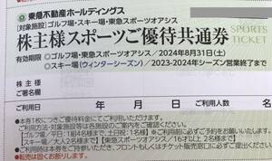 東急不動産　スポーツご優待共通券（ウィンター）株主優待券 ニセコ/塩原/那須/たんばら/斑尾/蓼科スキー場 複数 スキーリフト割引券