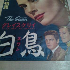 古い映画ポスター B2 白鳥 グレイス・ケリー Grace Kelly 1956 The Swan movie posterの画像3