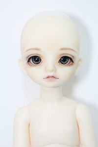 BJD CROBI/E-Line Tori I-24-02-25-1009-TO-ZI