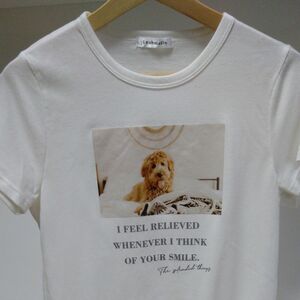 半袖 Tシャツ ホワイト Lサイズ 犬柄 レディース