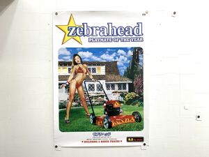 C27 ゼブラヘッド　zebrahead アルバムPLAYMATE OF THE YEAR プレイメイトオブザイヤー　ロックバンド　海外アーティスト　B2版ポスター 