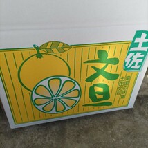 ★☆有機JAS 激安　家庭用　無農薬　土佐文旦　１０ｋｇ　②☆★_画像4