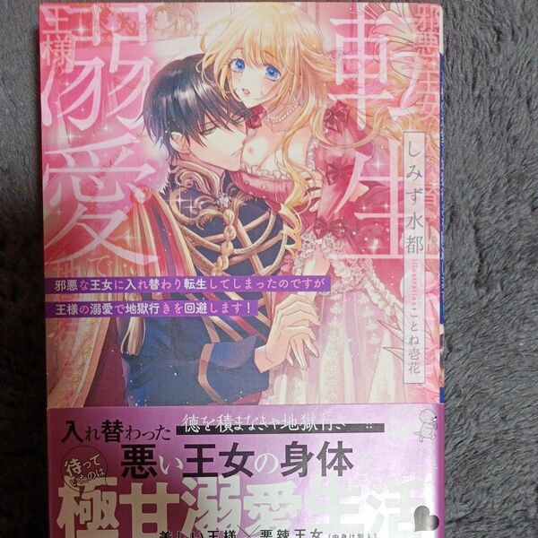 同封200円引き 邪悪な王女に入れ替わり転生してしまったのですが王様の溺愛で地獄行きを回避します!(蜜猫Novels) しみず水都