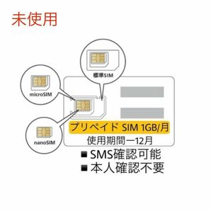 データ通信 1 GB/月　SMS確認可能　SIMカード　プリペイドSIM