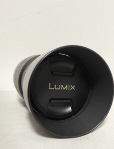 PanasonicLUMIXの望遠100-300