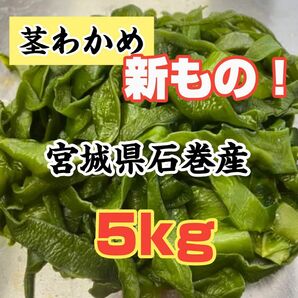 茎わかめ　宮城県石巻産　新もの！