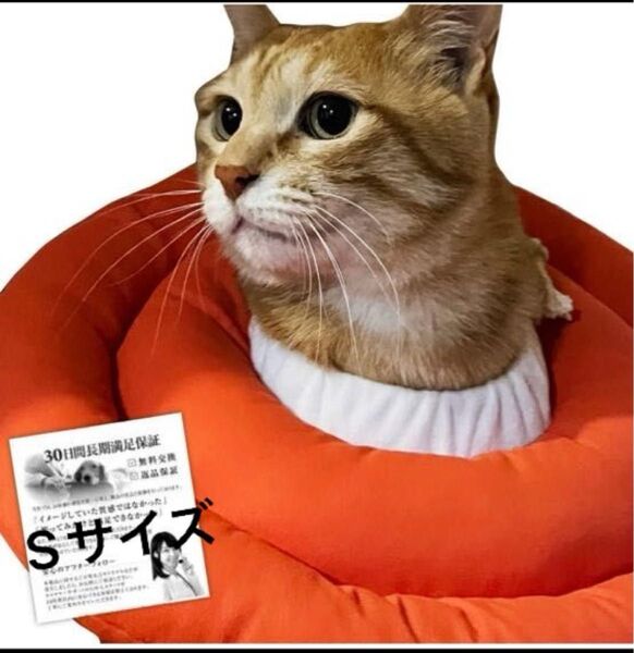 新品 エリザベスカラー 子猫 子犬 ソフト 引っ掻き防止 オレンジ Sサイズ