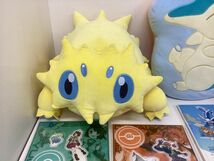 【現状】 ポケモンセンター グッズ まとめ売り キバナ ヒノアラシ バチュル チルット メリープ 他 ぬいぐるみ クッション アクスタ 他_画像8