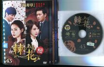 ●A3639 R中古DVD「棘のある花」全43巻【韓国/吹替無/一部ヒビ有/第1巻ジャケ破れ有】ケース無 レンタル落ち 【宅】_画像1