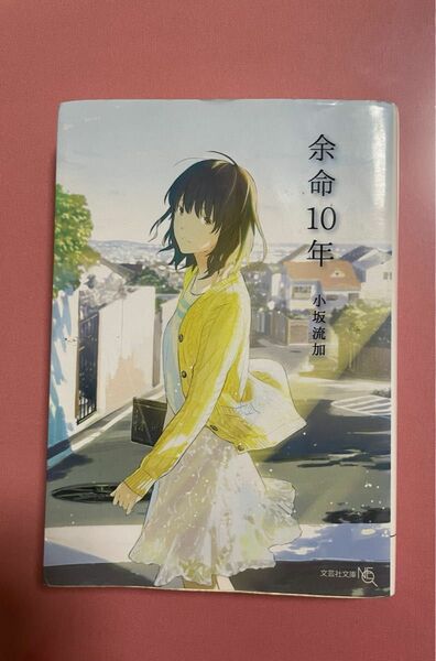 余命１０年 （文芸社文庫ＮＥＯ　こ５－１） 小坂流加／著