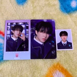 straykids スキズ チャンビン popup ポップアップ skzoo トレカ ID 証明写真