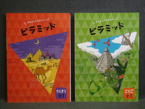 ★ 即発送 ★ 新品 最新版 ピラミッド 国語と算数 ２教科セット 小１ 解答・確認テスト付 １年