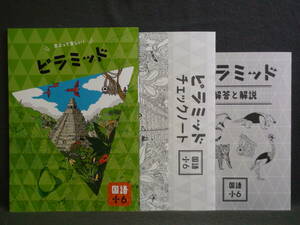 ★ 即発送 ★ 新品 最新版 ピラミッド 国語 小６ 解答・確認テスト付 ６年