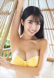 超セクシー かわいい 美人 水着下着 巨乳美脚美尻 イラストアート B2ポスター