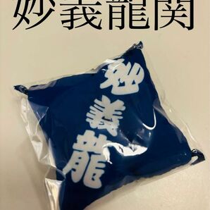 大相撲ガチャ 妙義龍関 関取控え座布団キーホルダー 三月場所 春場所 大阪場所 妙さま