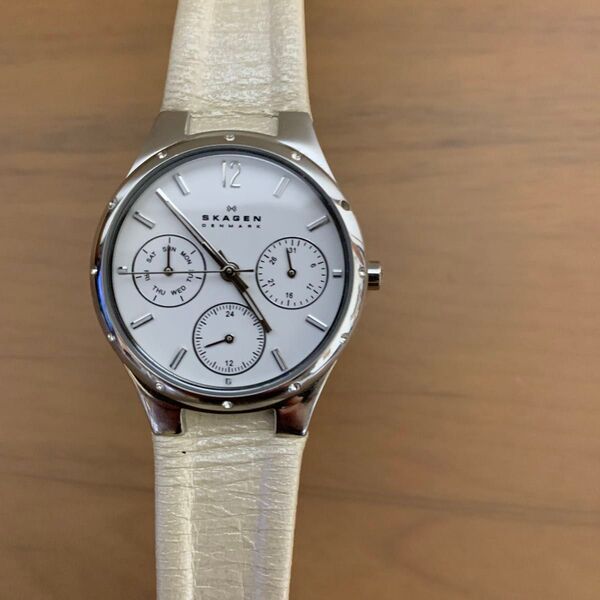 SKAGEN 831SSLW