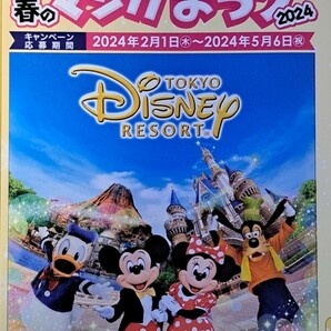 講談社春のマンガまつり 東京ディズニーリゾートキャンペーン 応募バーコード45枚 ハガキ貼付済 貸切コース・パークチケットコース各9口の画像1