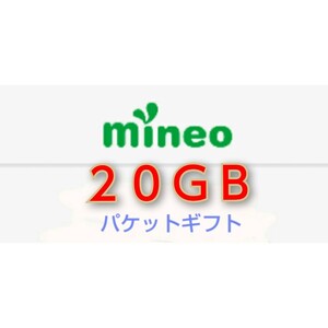 mineo マイネオ パケットギフト 9999MBx2 約20GB 1