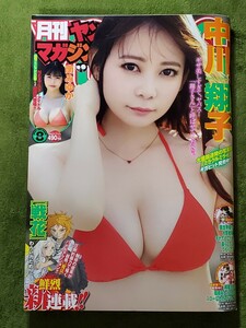 新品！月刊ヤングマガジン2022年8月号☆中川翔子 南みゆか グラビアアイドル 水着 ビキニ グラドル