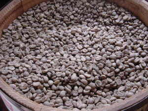 *. liking . coffee raw legume 6. selection ...12000 jpy *