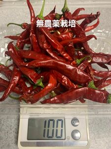 赤唐辛子　乾燥赤唐辛子　激辛赤唐辛子　乾燥野菜　100g入り　無農薬栽培野菜